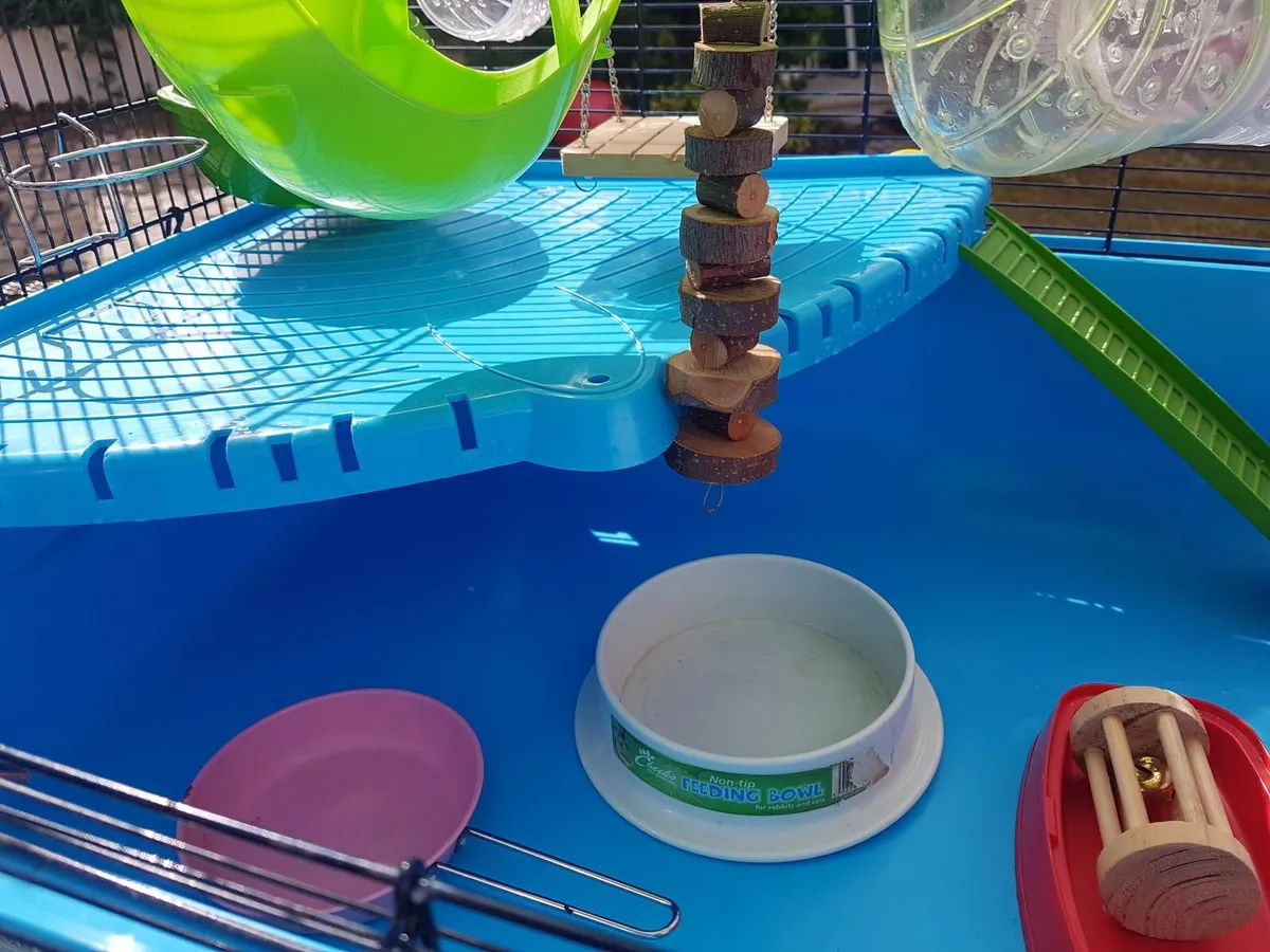 Hamster Cage & Accessories - Image 3