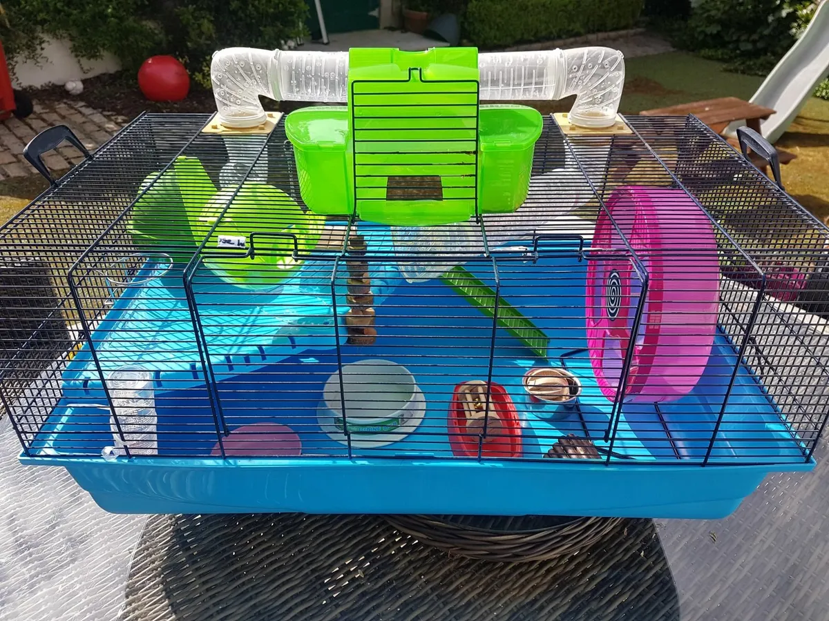 Hamster Cage & Accessories - Image 1