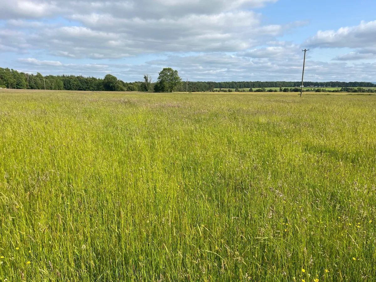 26 Acre Hay Meadow
