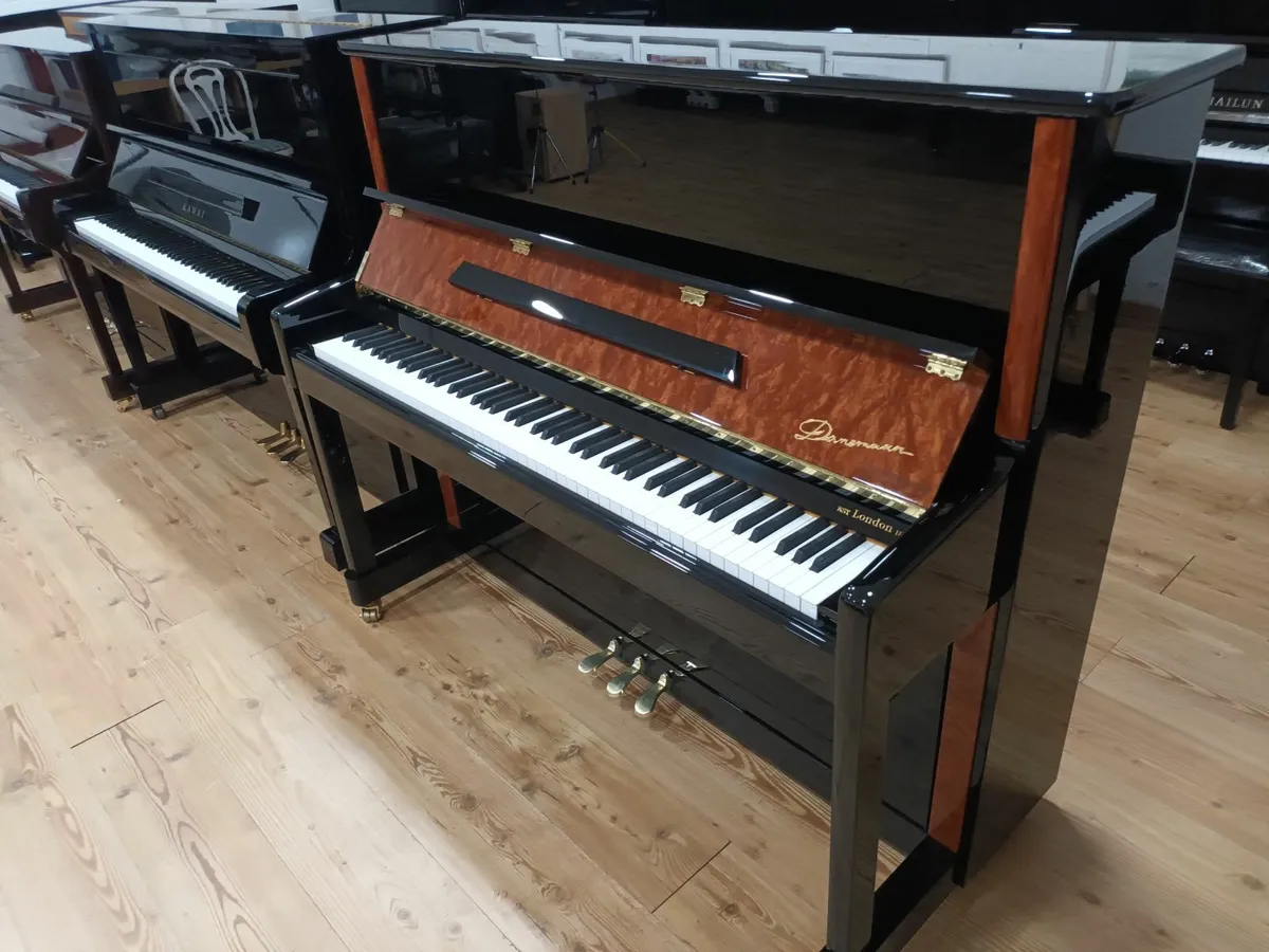 New Danemann Special Anniversary Edition - Image 4