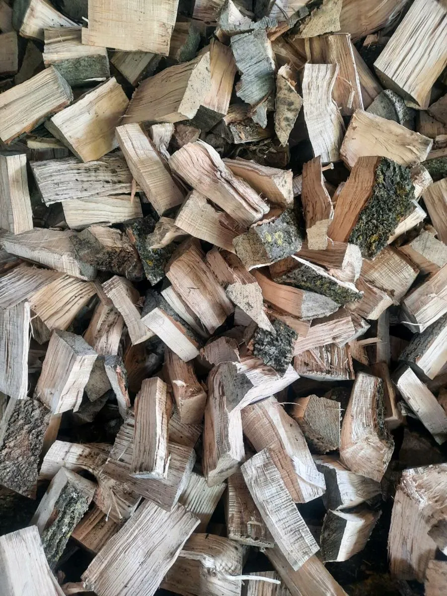 Firewood - Image 3