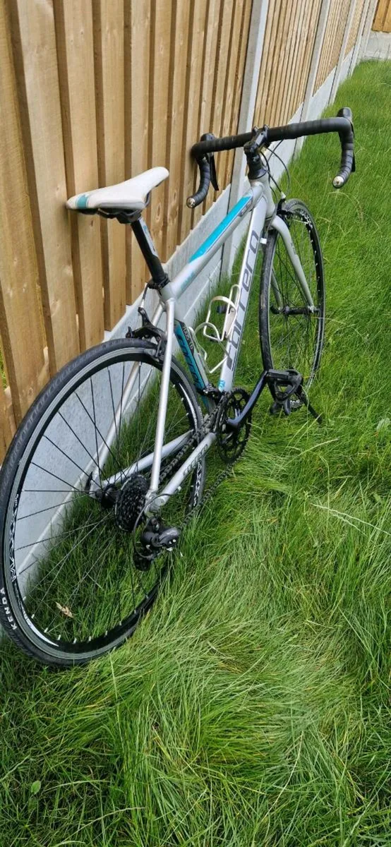 Carrera road bike #medium (serviced) ( delivery) - Image 4