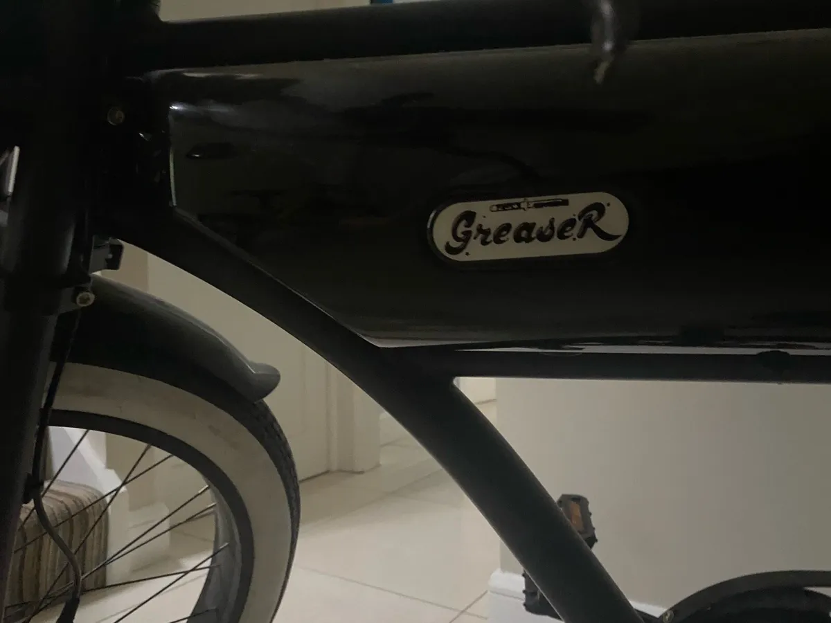 Electric Bike - Image 3