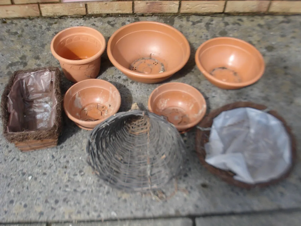 GLASSHOUSE CLEAROUT. HANGING BASKETS & POTTERS. - Image 2