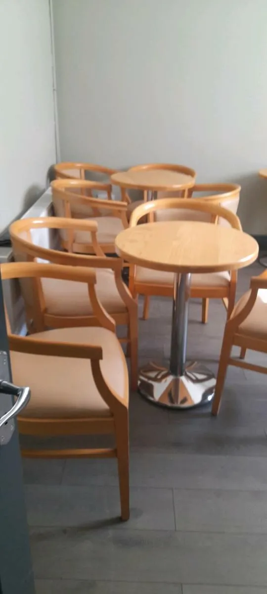 15  light oak chairs cream upholstery/ - Image 2