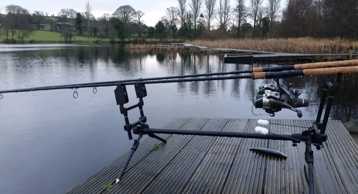 Cygnet rod pod - Image 1