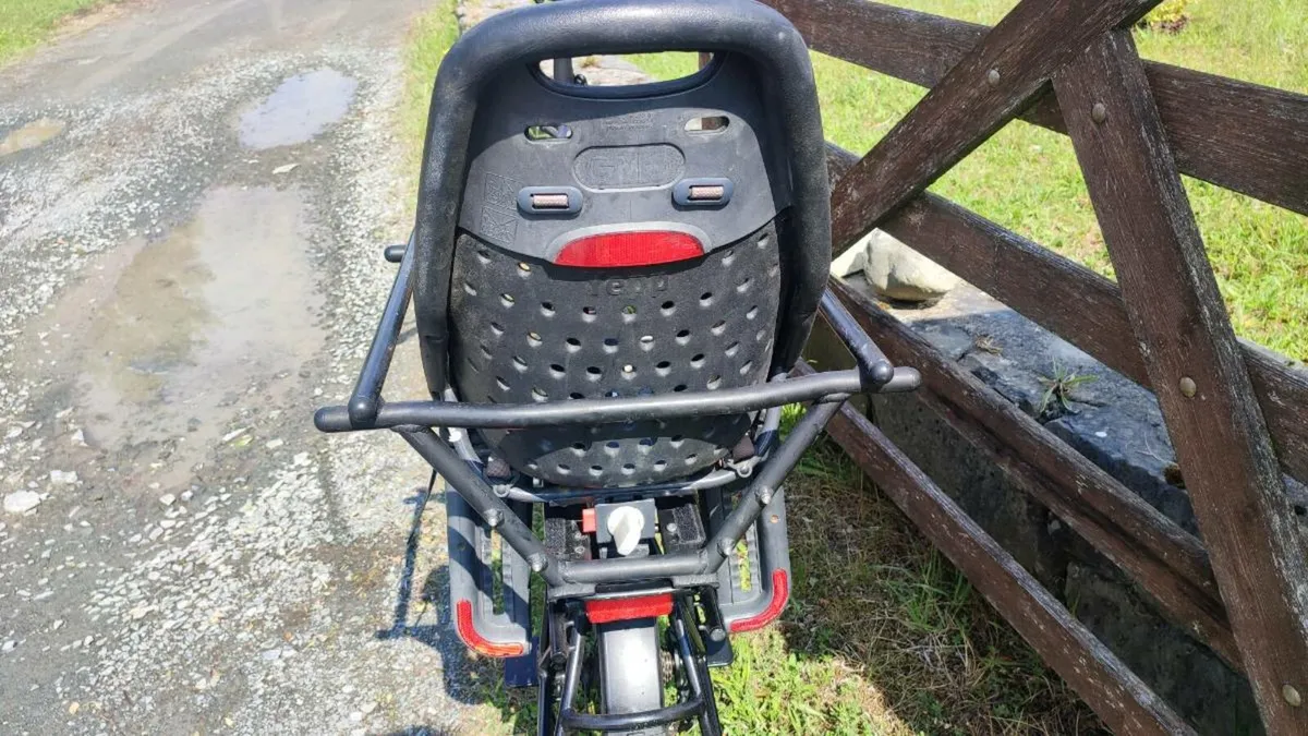 Cargo ebike Bosch Bosch ebike - Image 1