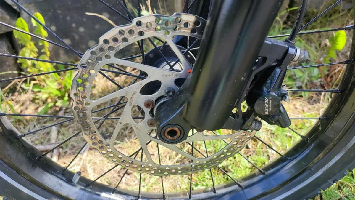Cargo ebike Bosch Bosch ebike - Image 2