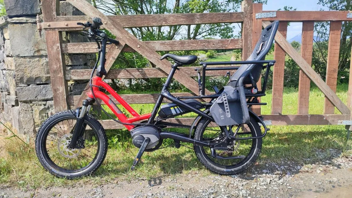 Cargo ebike Bosch Bosch ebike - Image 4