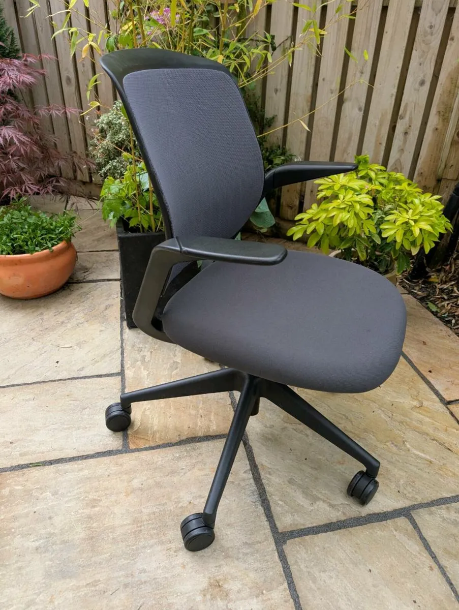 Ergonomic office chair - Image 1