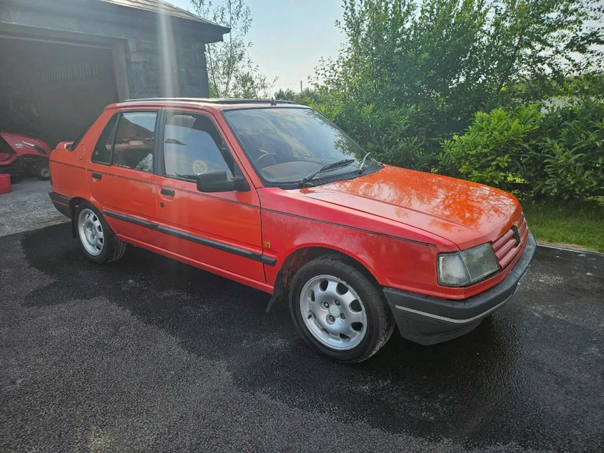 Peugeot 309 GRi - Image 1