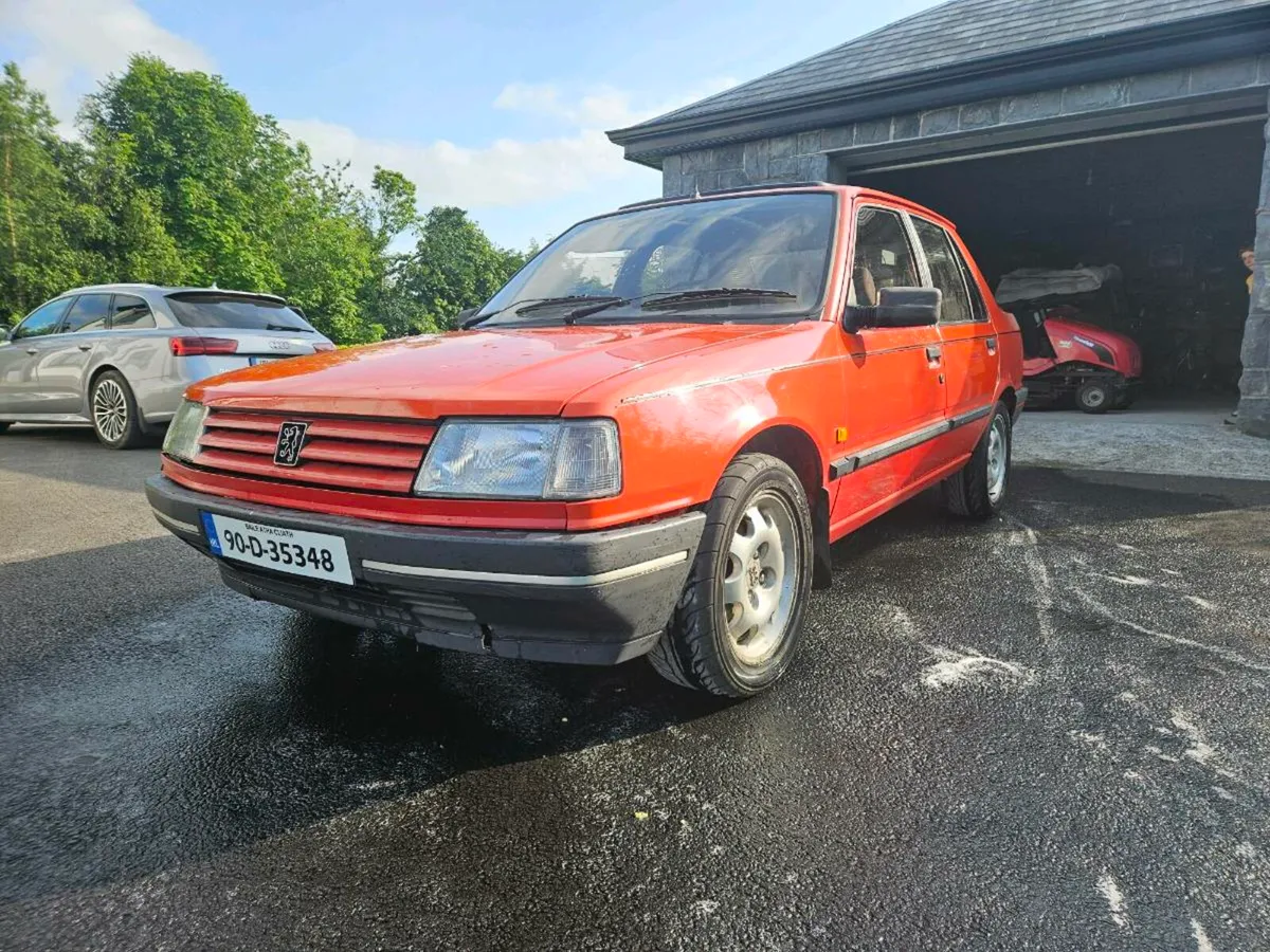 Peugeot 309 GRi - Image 2