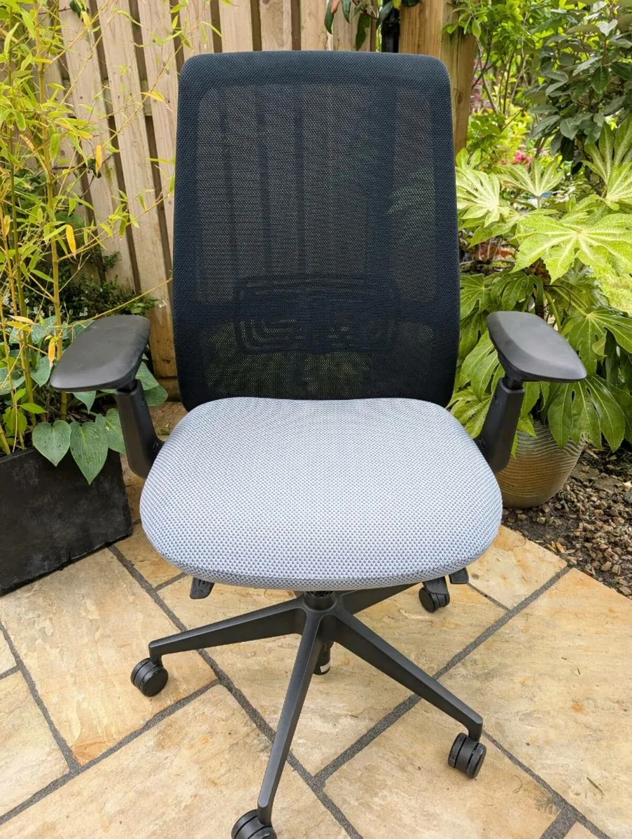 Ergonomic office chair - Image 1