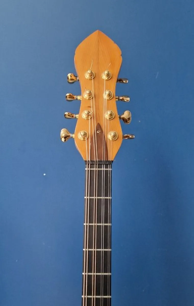 Ultan Walsh Bouzouki - Image 3