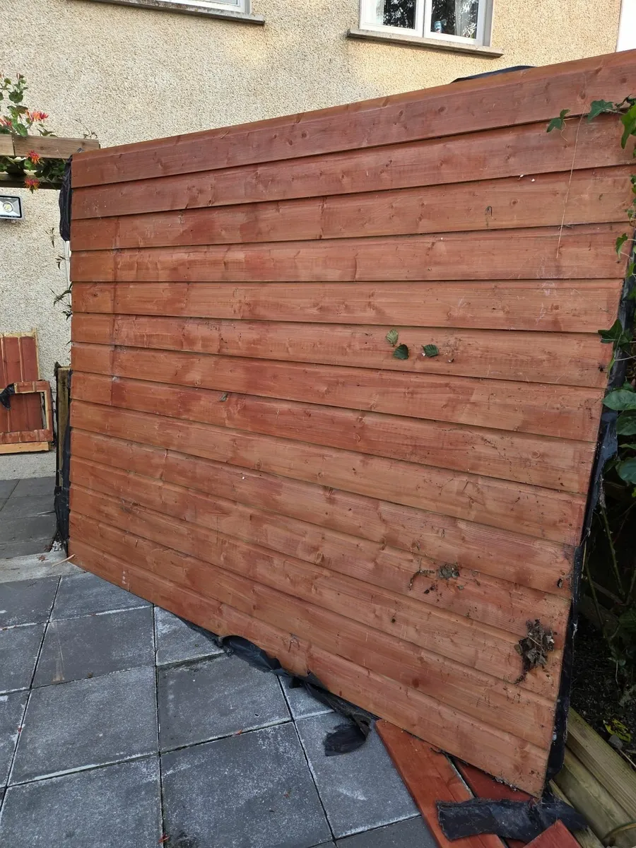 Large garden shed (with galvanised sheets) - Image 2