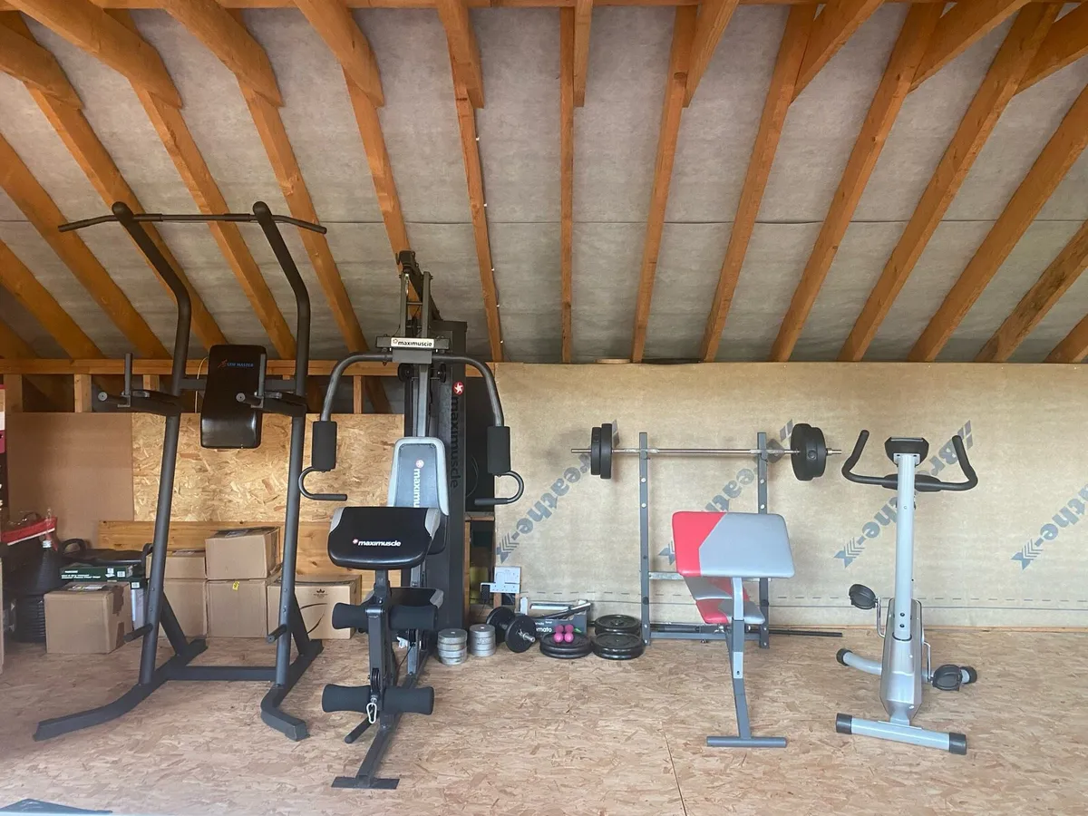 GYM EQUIPMENT - Image 2