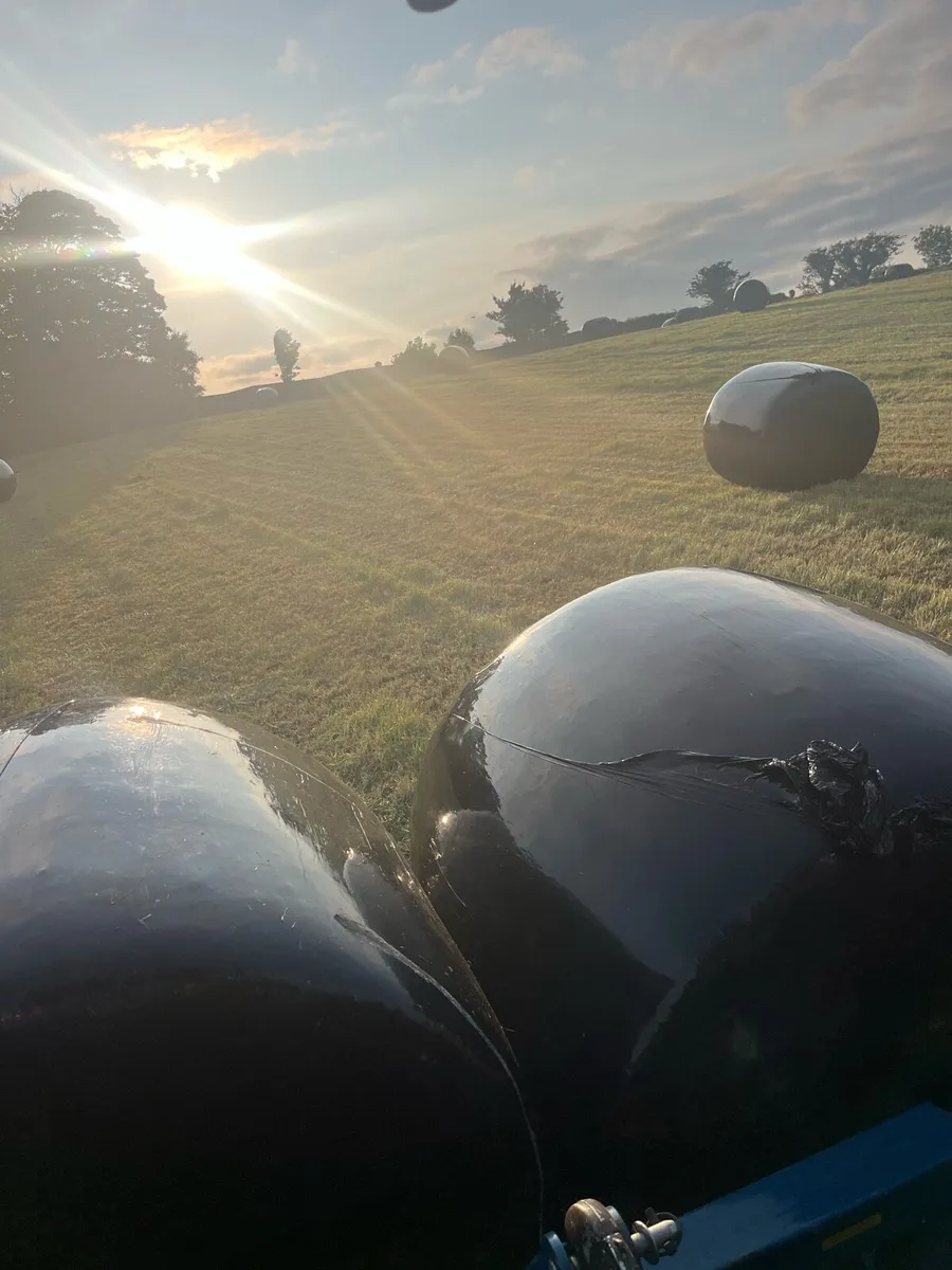 Silage - Image 1