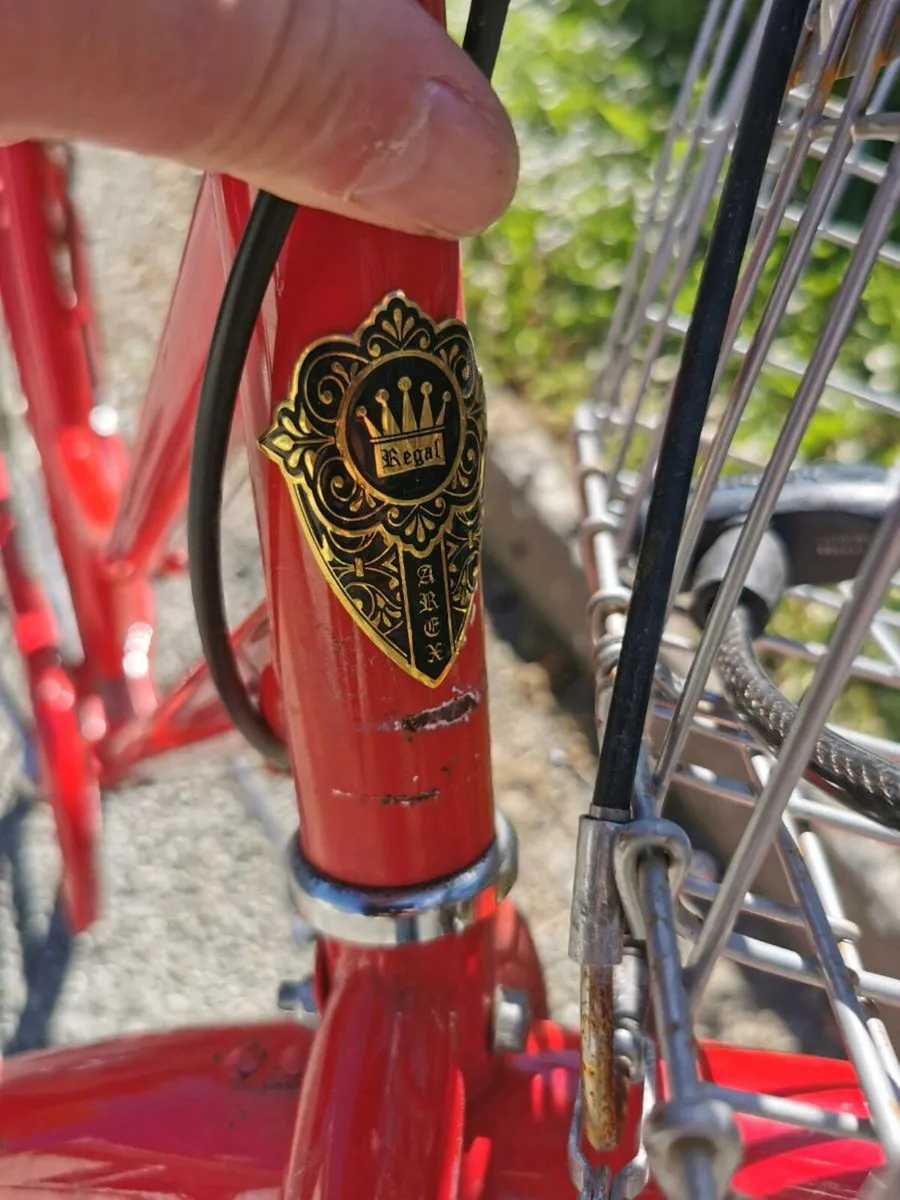 Holland vintage crusier bike - Image 3