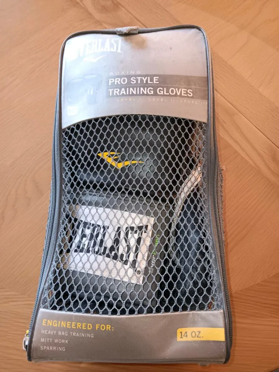 EVERLAST pro style boxing gloves - Image 1