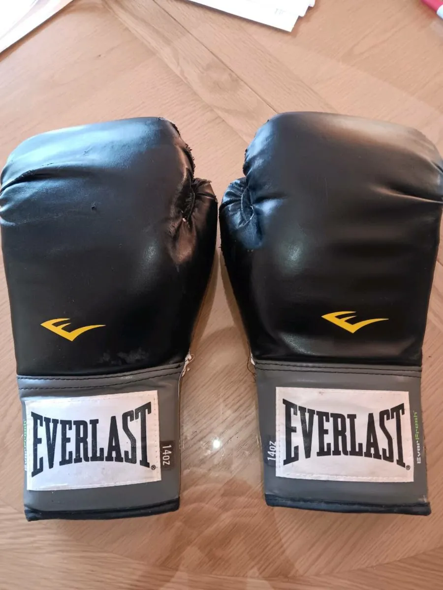 EVERLAST pro style boxing gloves - Image 2