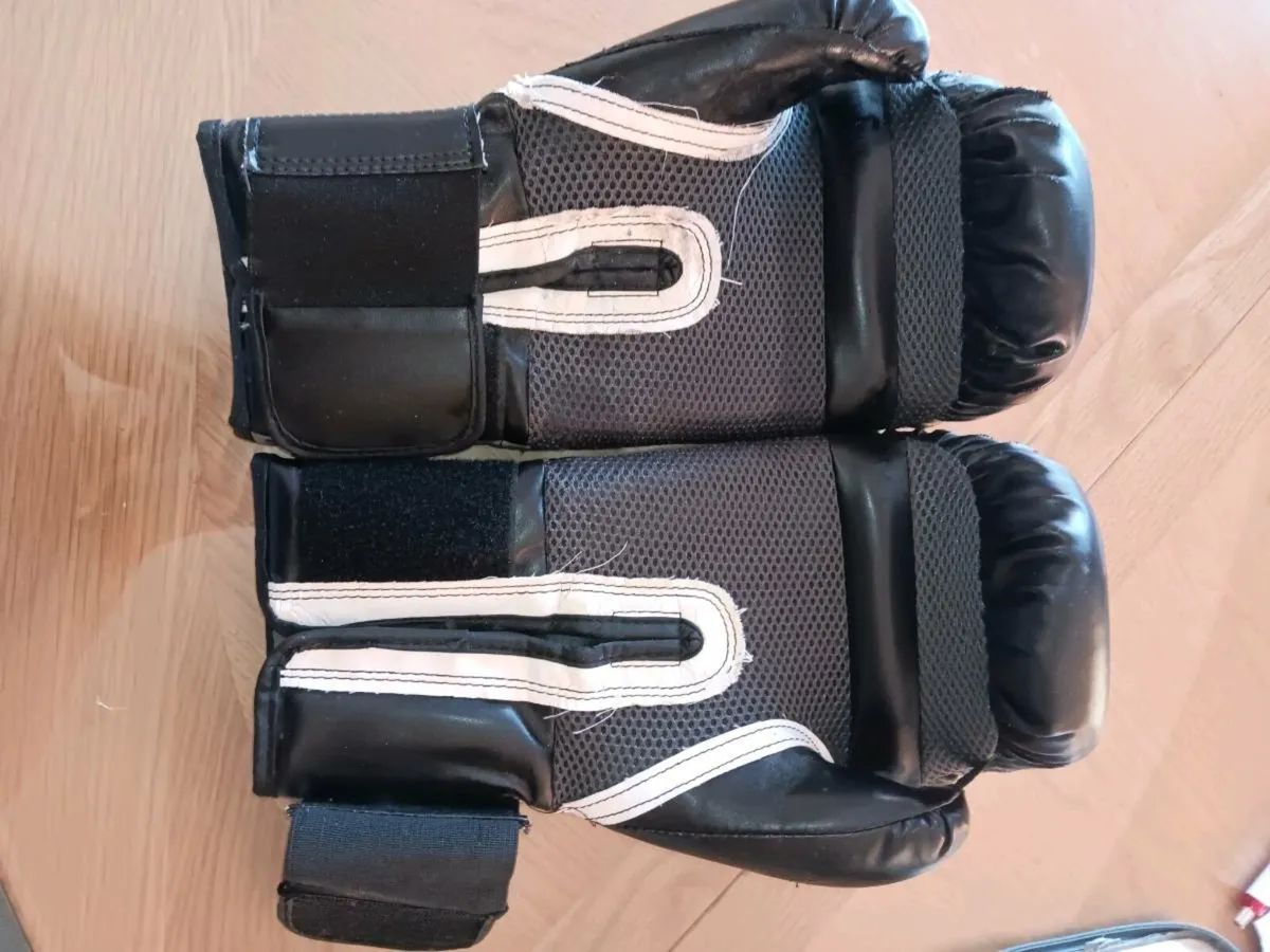 EVERLAST pro style boxing gloves - Image 3