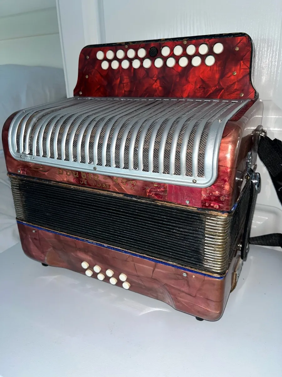 Black dot accordion for sale