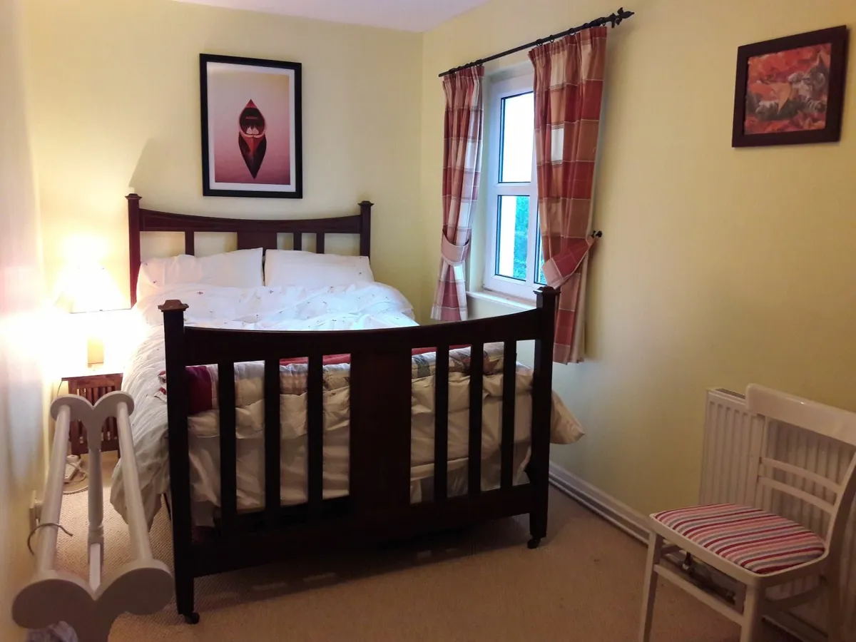 Mahogany Double Bed - Image 1
