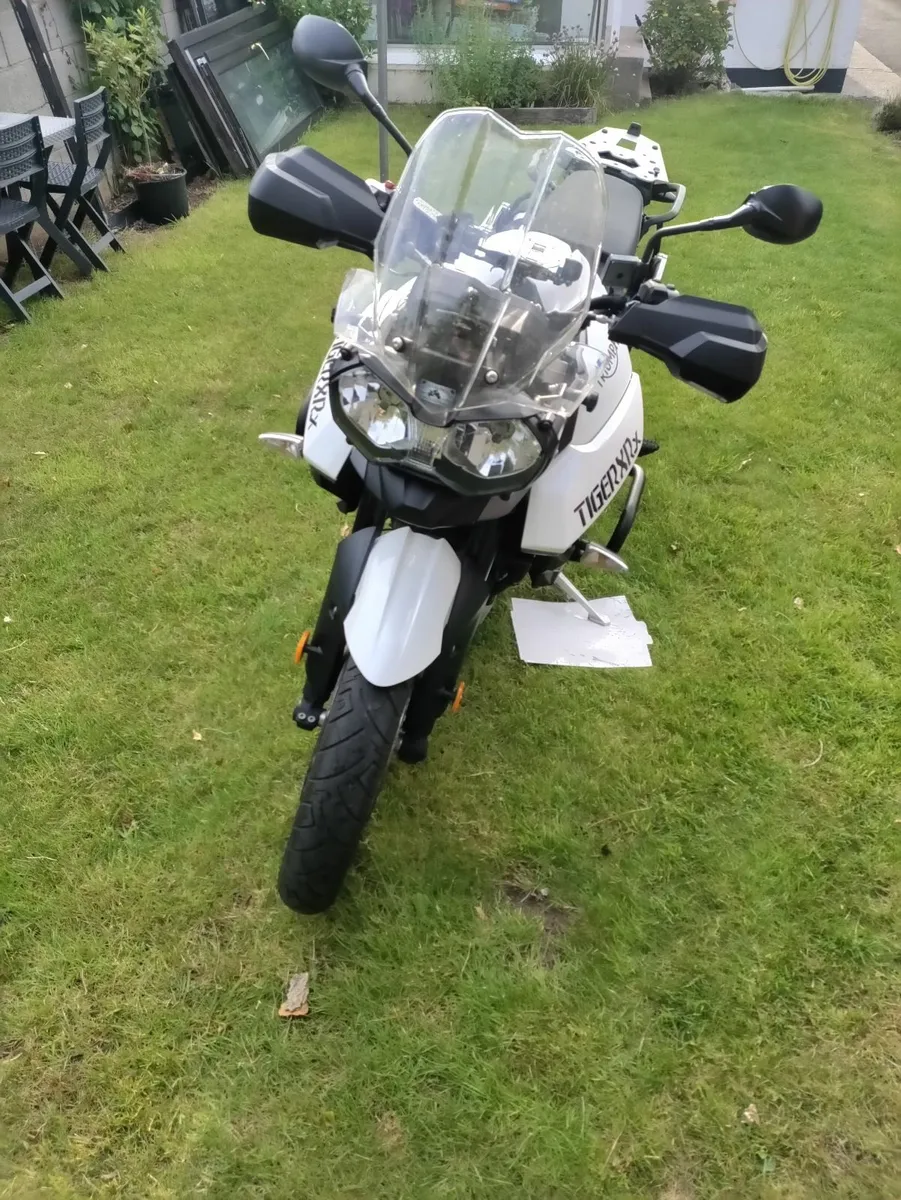 TriumphTiger XRX - Image 2
