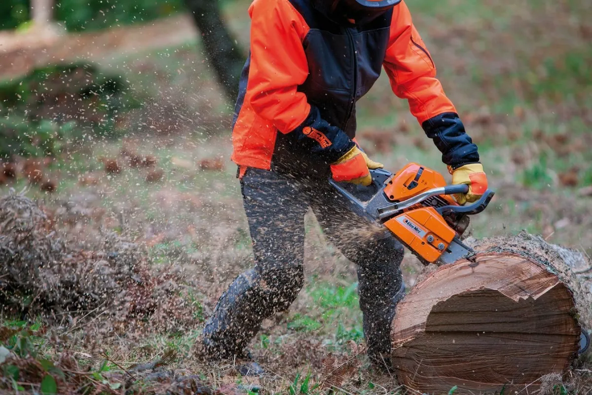 Oleo Mac GSH560 Chainsaw 20" Bar - Image 3