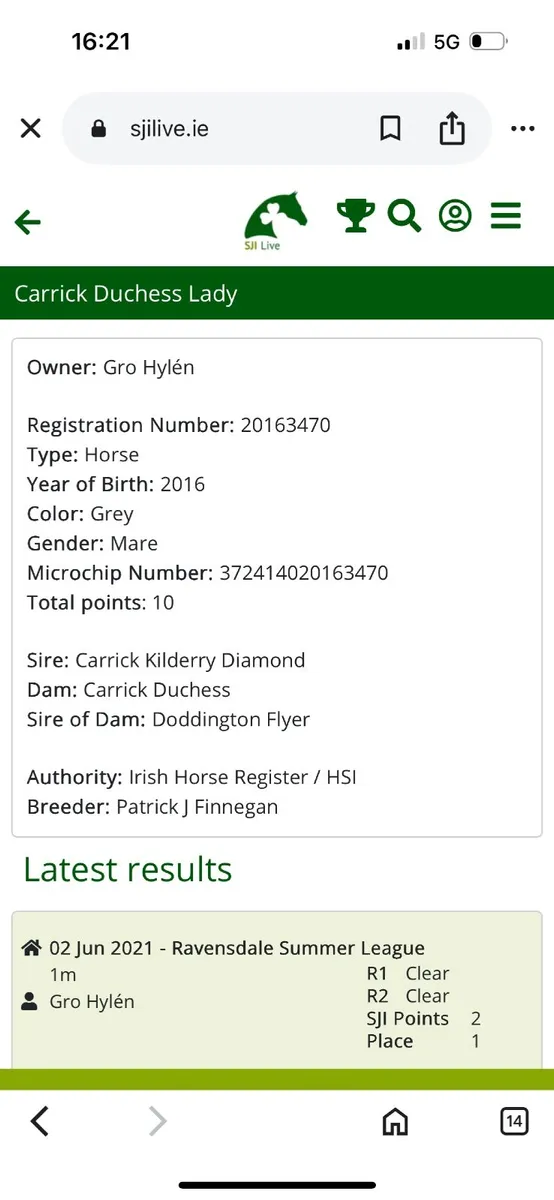 16’3 mare. Green book - Image 4
