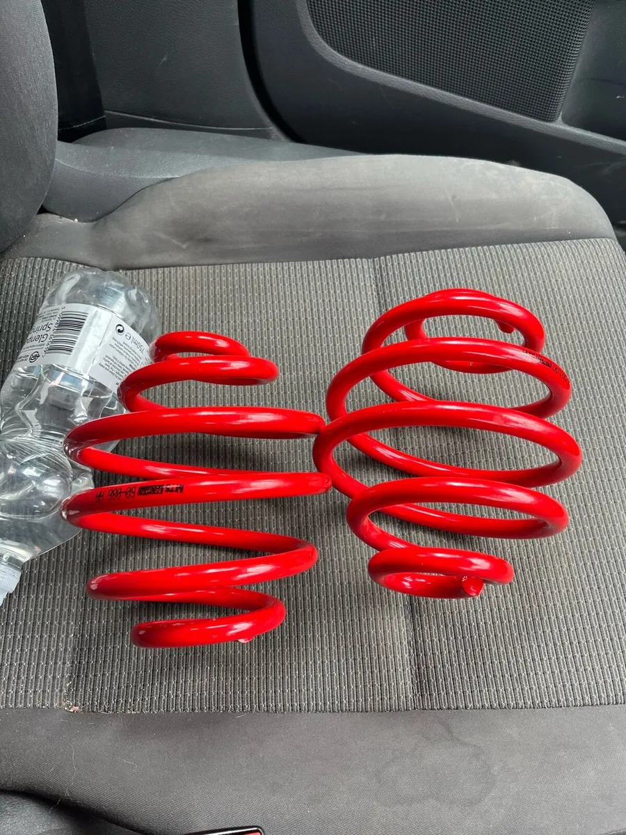 Corsa 60 springs - Image 1