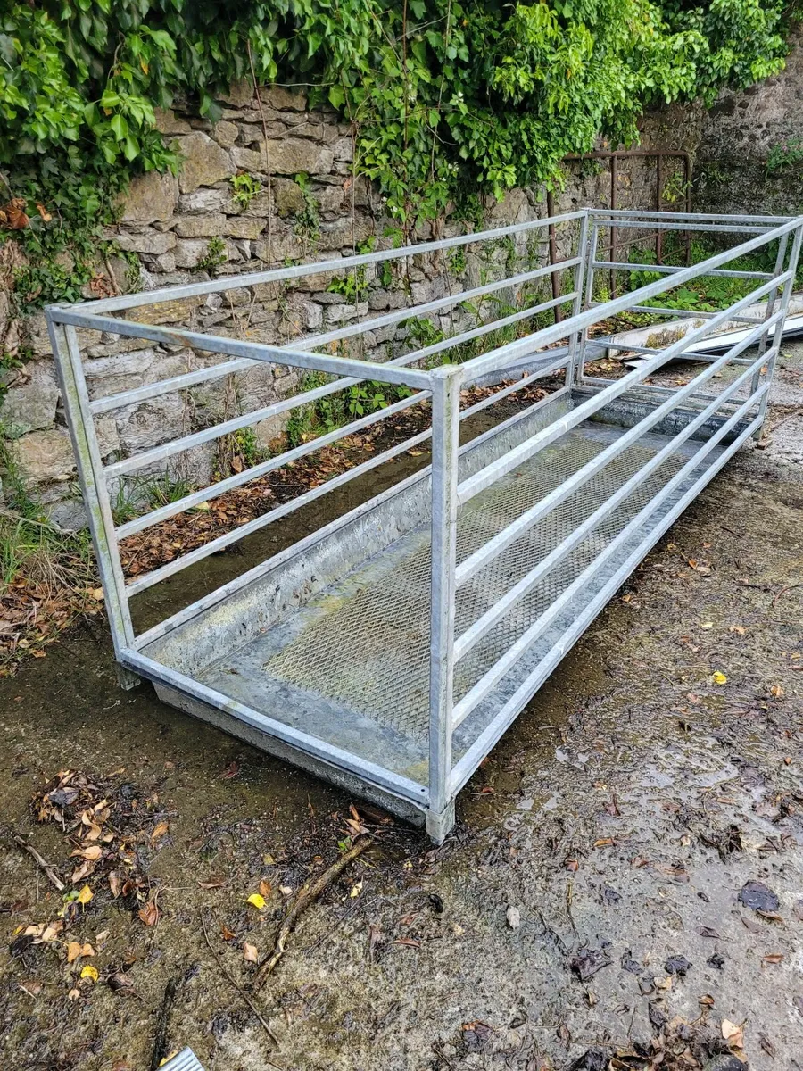 Sheep Foot Bath for sale - Image 3