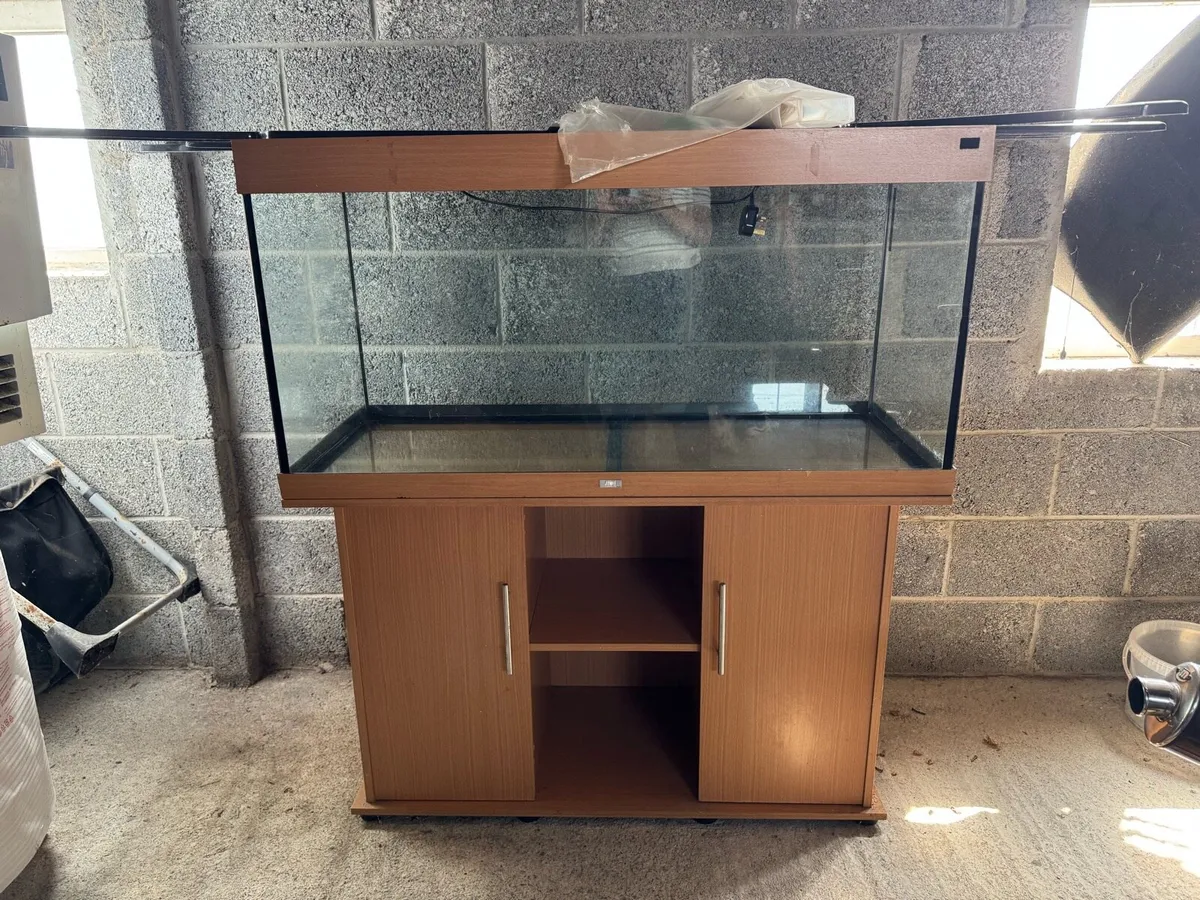 Fish Tank - Image 1