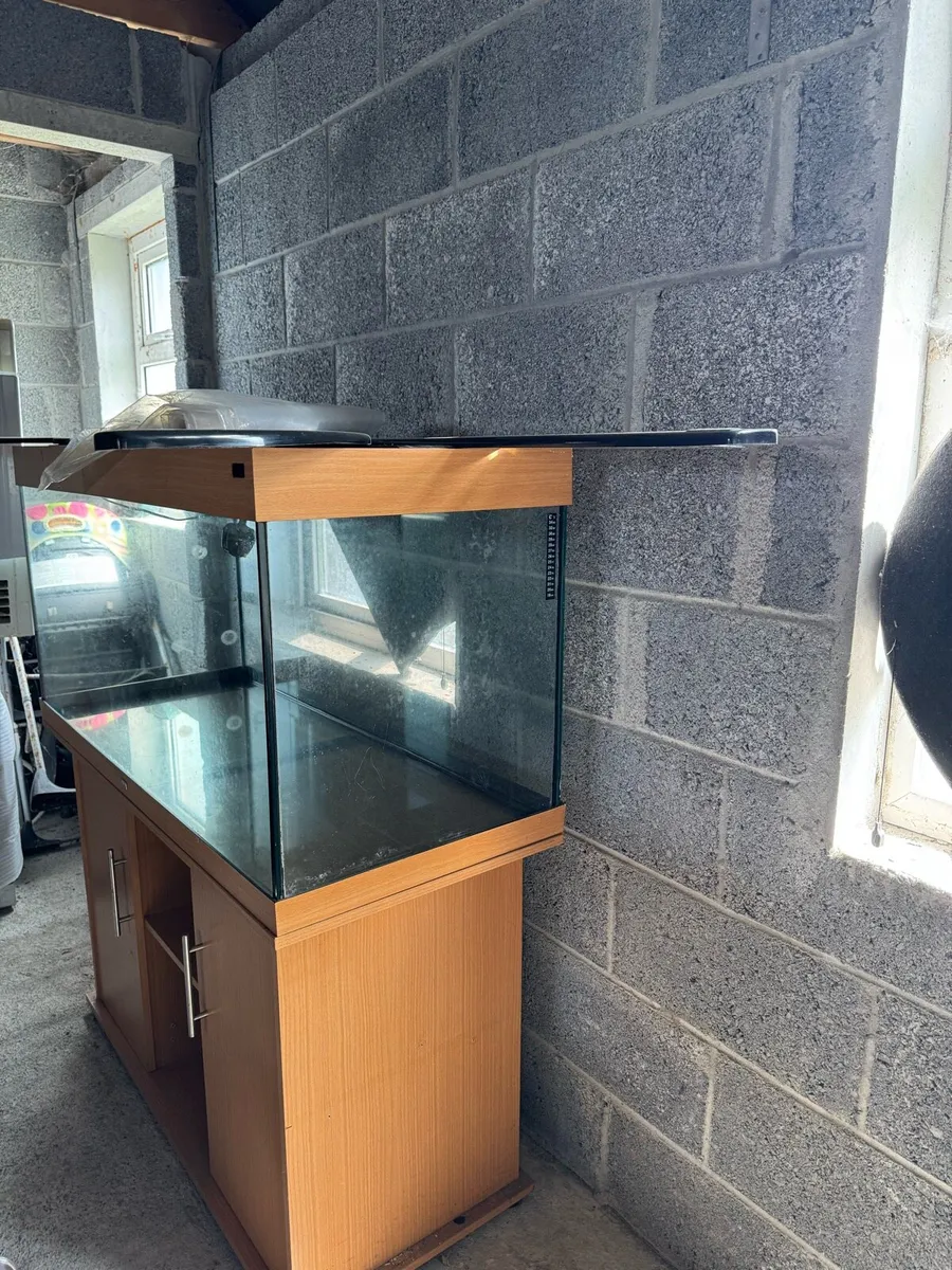 Fish Tank - Image 2