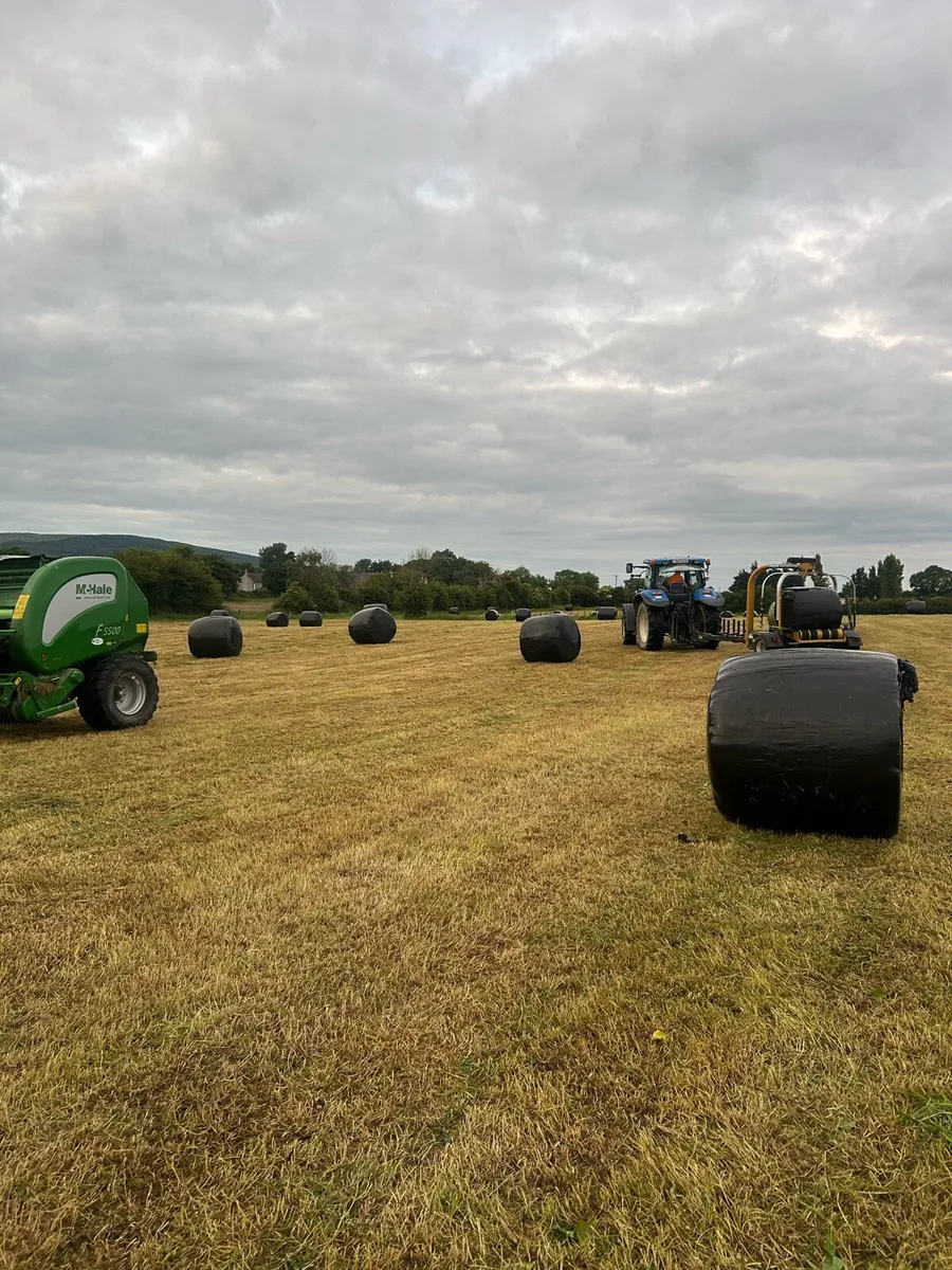 Silage bales - Image 1