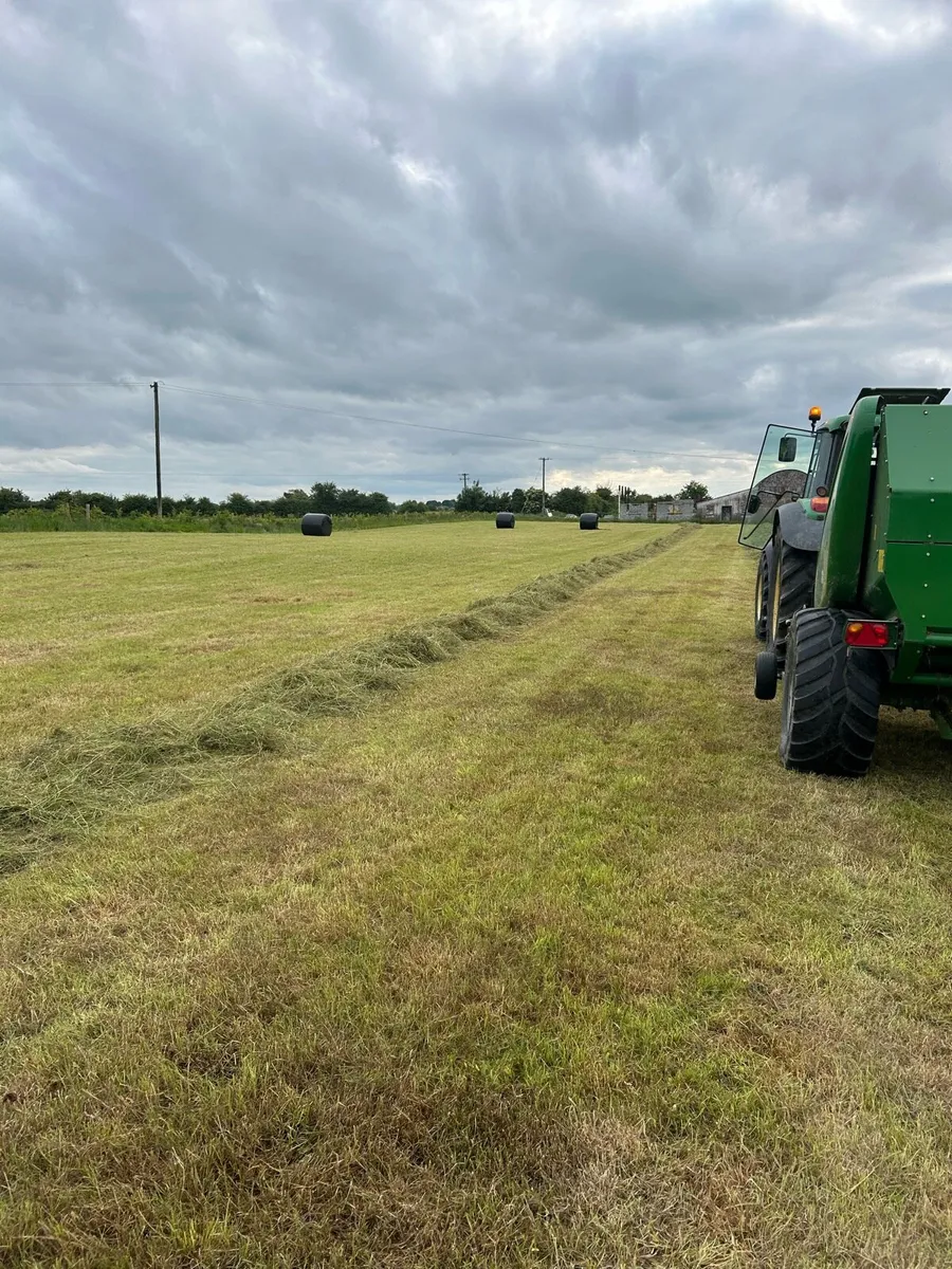 Silage bales - Image 3