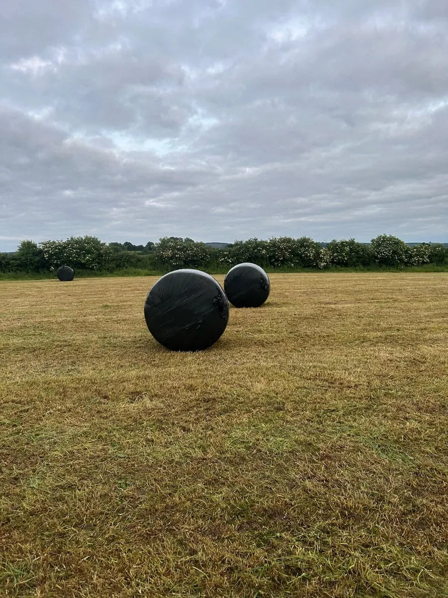 Silage bales - Image 4