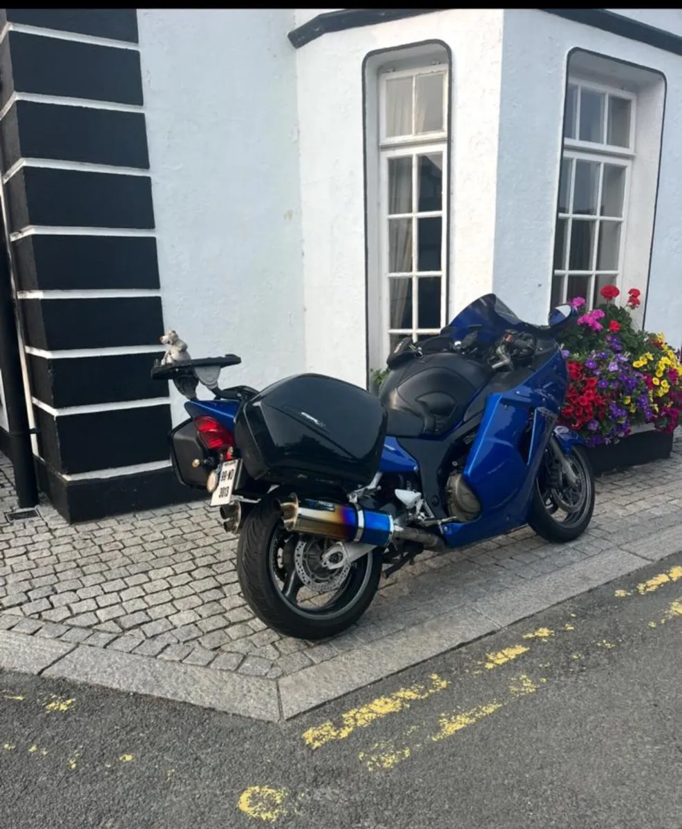 Honda Blackbird - Image 2
