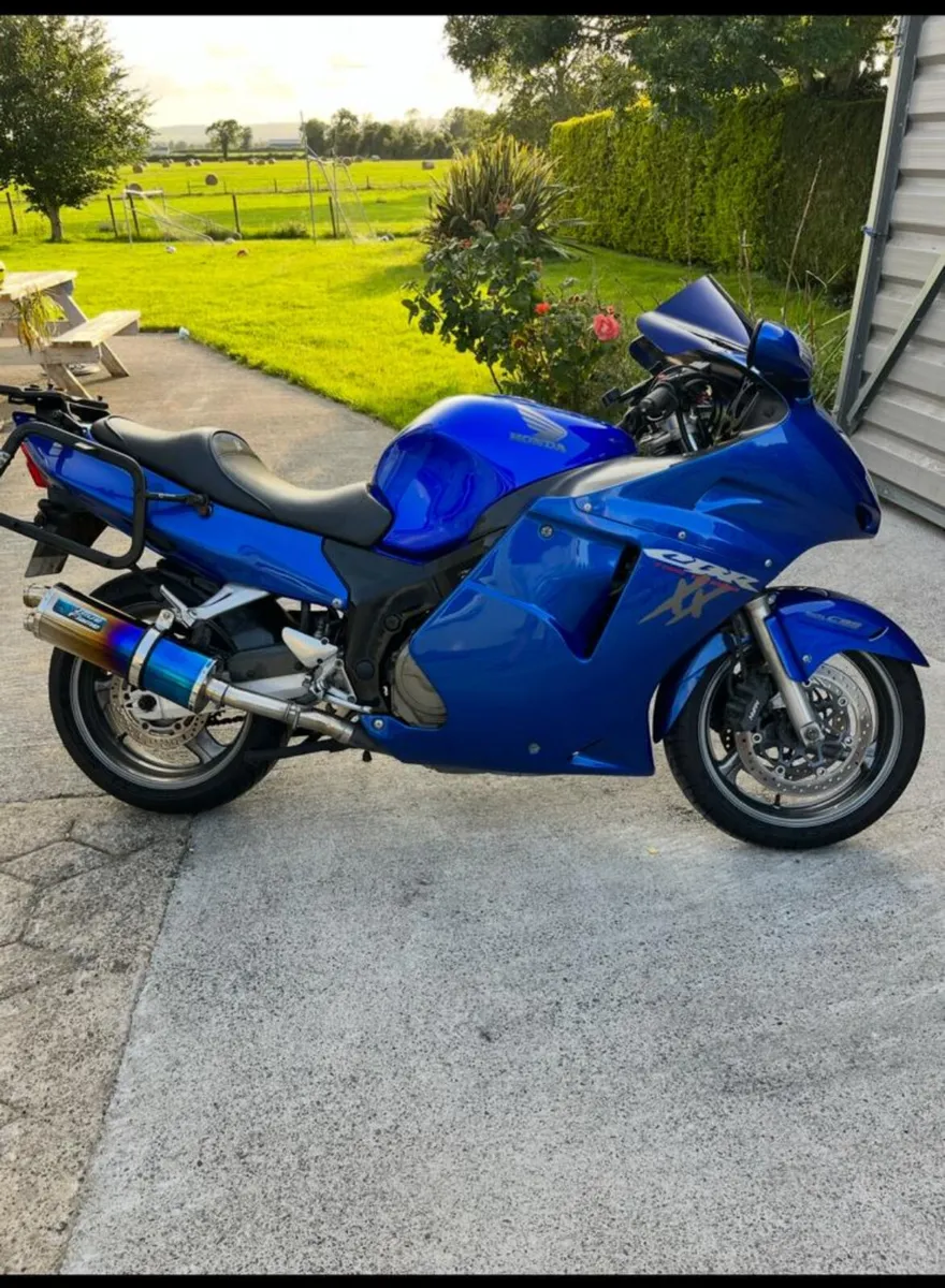 Honda Blackbird - Image 3