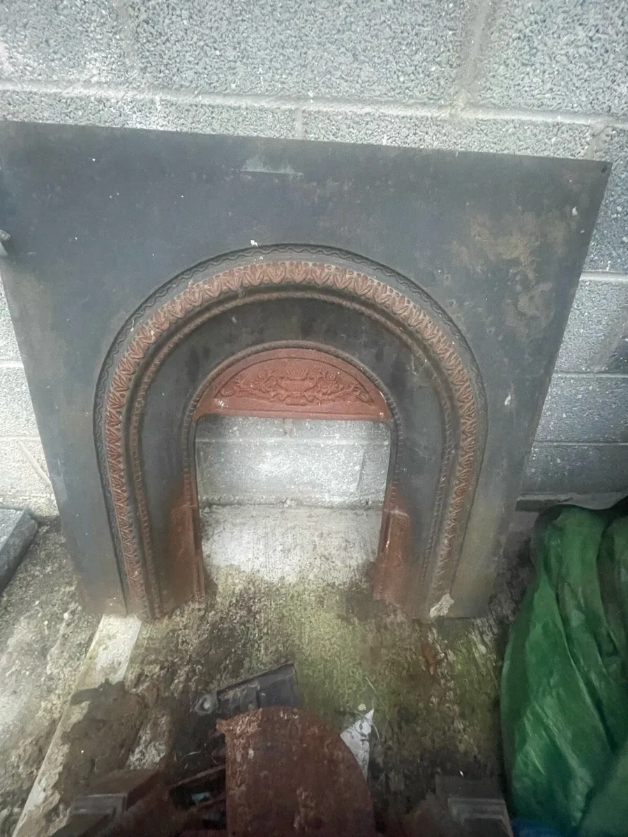 Fire Surround - Image 4