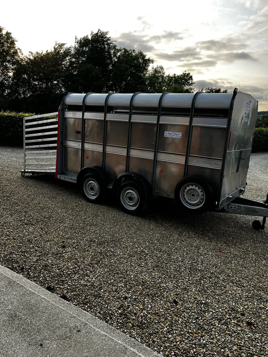 Ifor Williams 12x6 Cattle trailer - Image 3