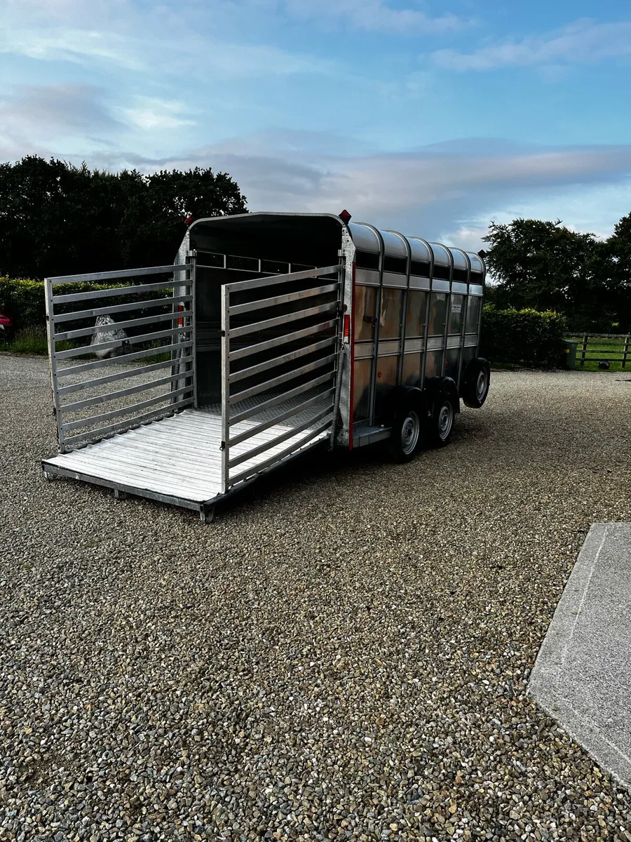 Ifor Williams 12x6 Cattle trailer - Image 4