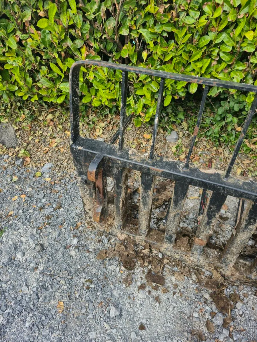 Fork for Rossmore. Loader   FL 60 - Image 4