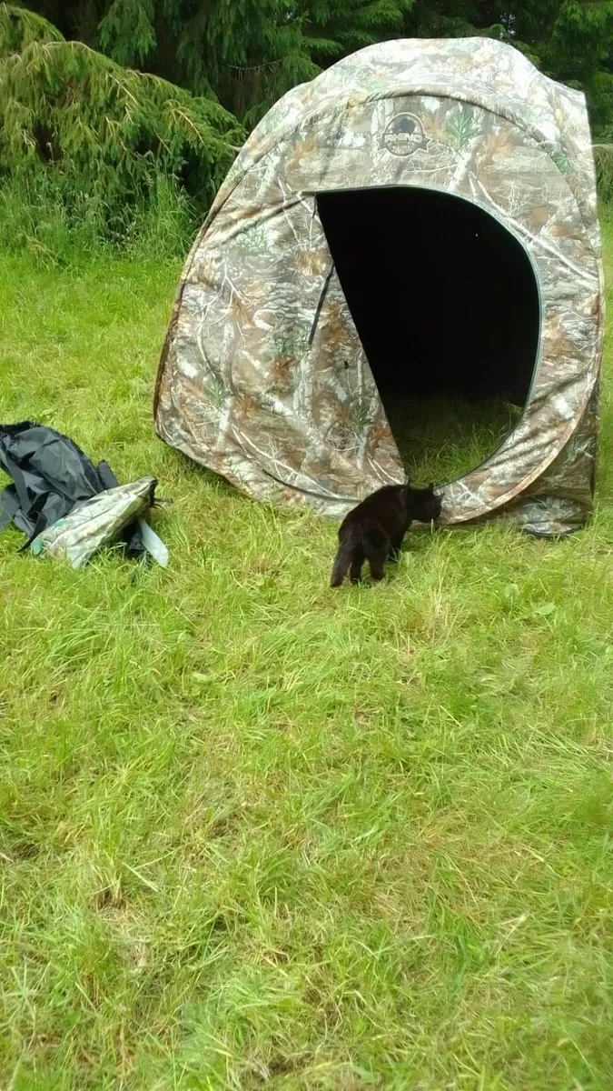 Tent - Image 3