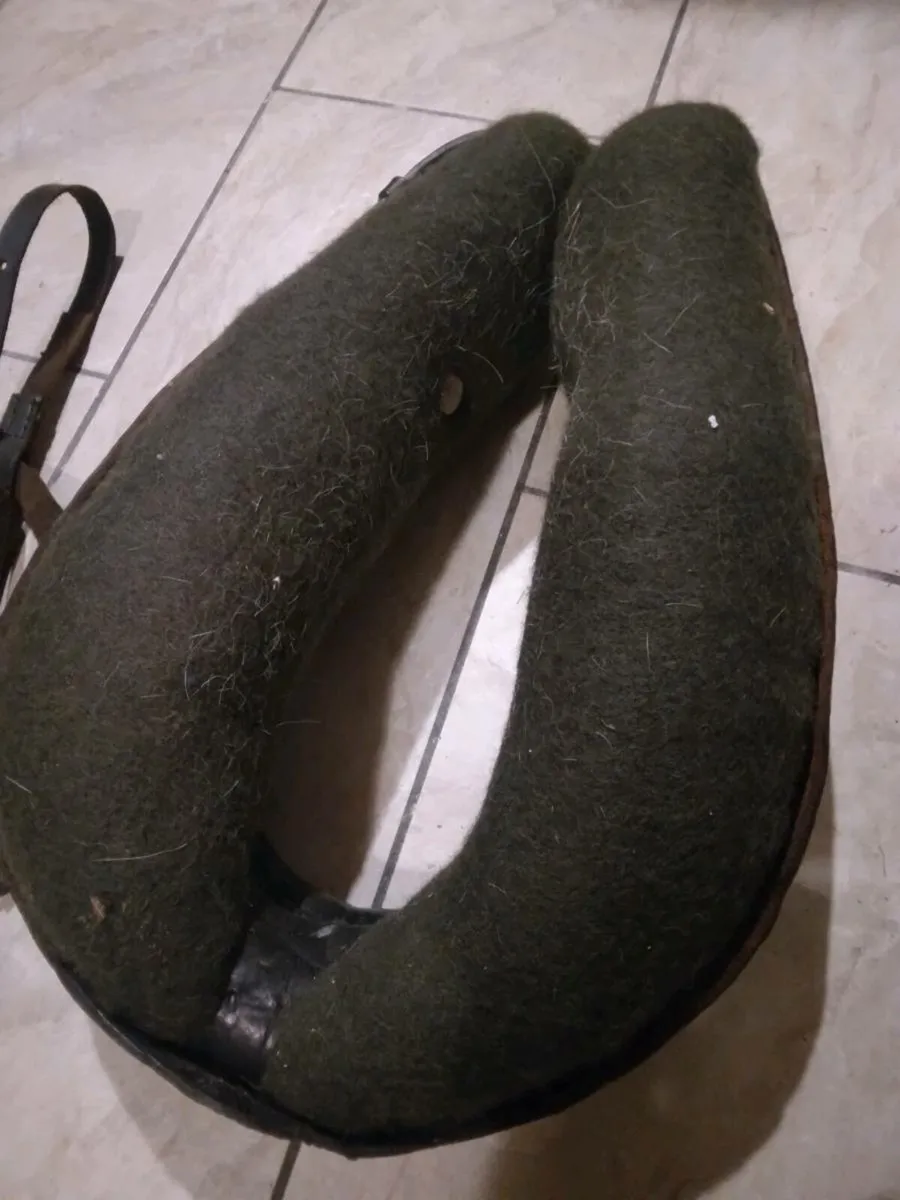 Donkey common harness - Image 3