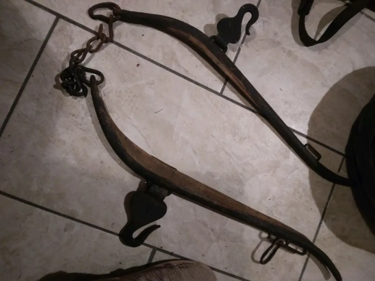 Donkey common harness - Image 4