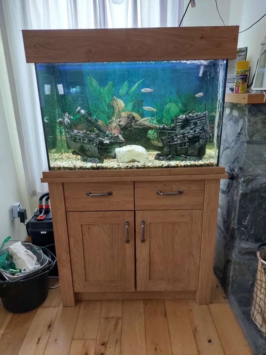 Fish Tank with fish - Image 1