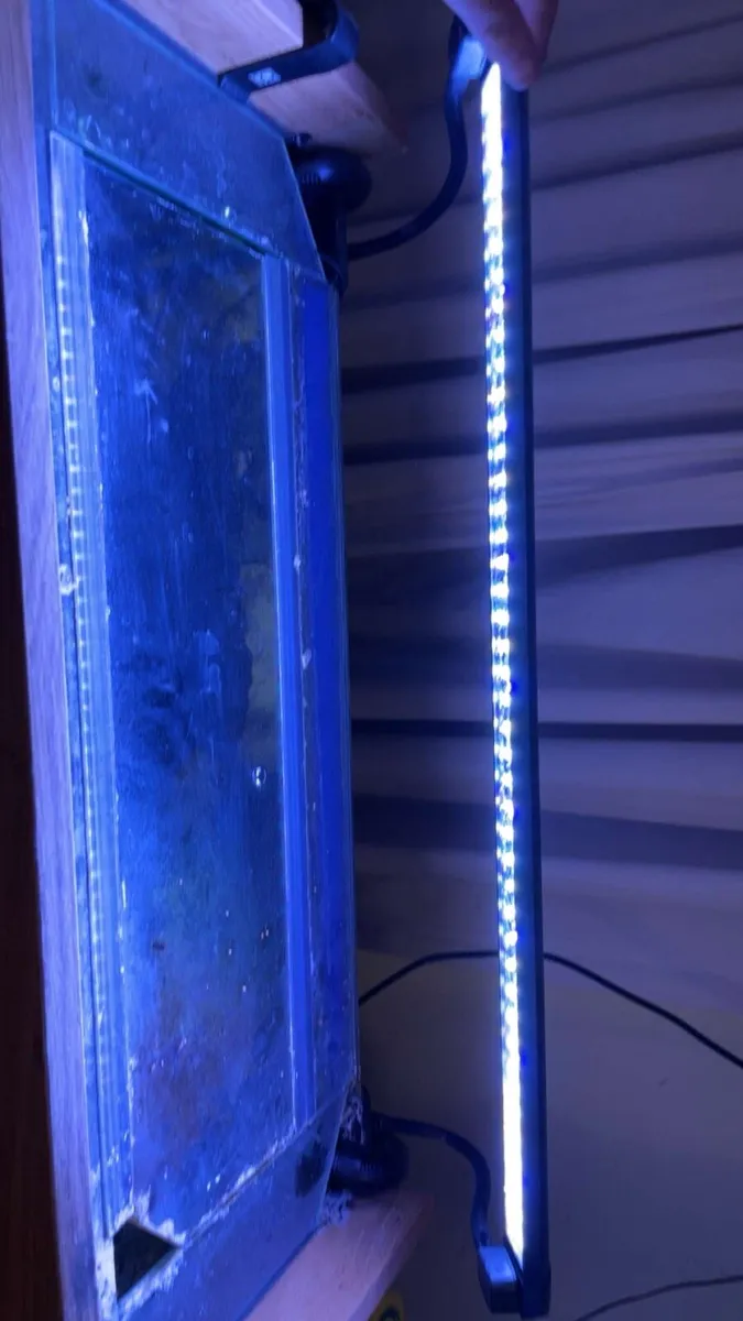 Fish Tank with fish - Image 2
