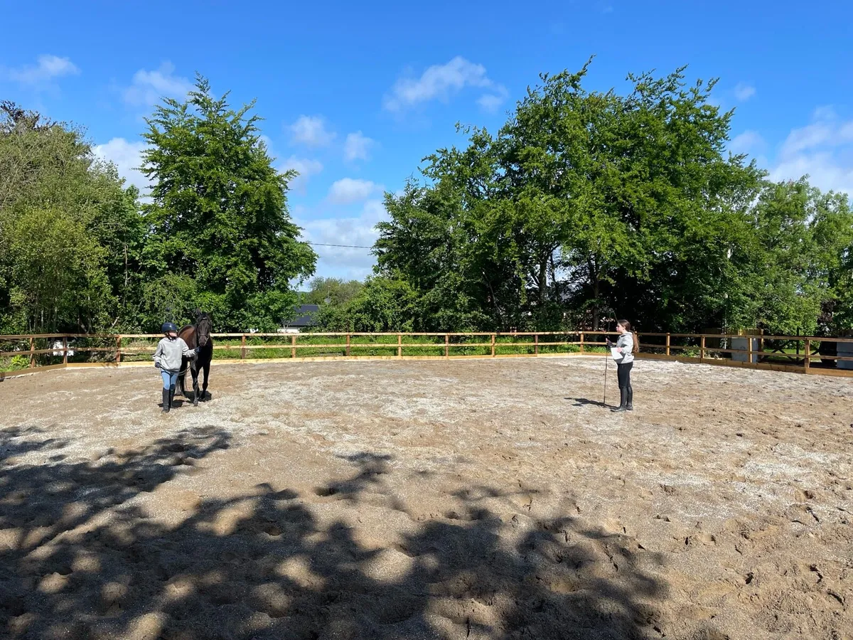Shetland Pony Party - Image 4