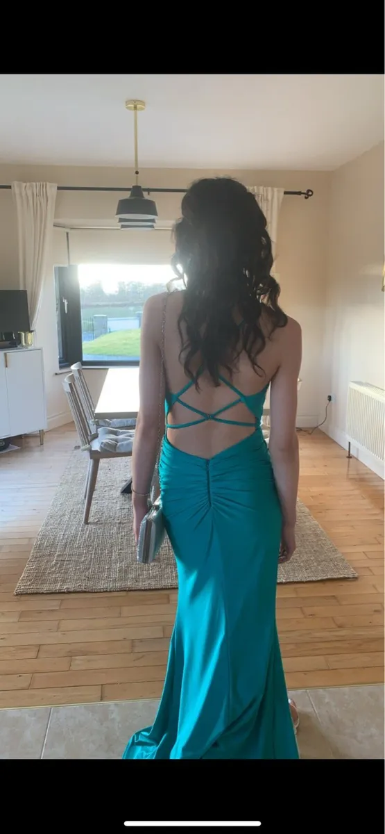Dani’s Closet Debs/ TY Ball dress - Image 2